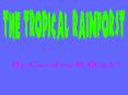 PowerPoint Presentation  -  The Tropical Rainforest PowerPoint PPT Presentation