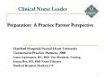 Clinical Nurse Leader PowerPoint PPT Presentation