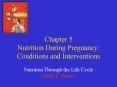 Chapter 5 Nutrition During Pregnancy: Conditions and Interventions PowerPoint PPT Presentation
