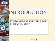 FUNDAMENTAL PRINCIPLES OF PUBLIC FINANCE