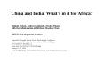 China and India: What PowerPoint PPT Presentation