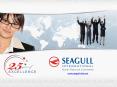 www.seagullindia.net PowerPoint PPT Presentation