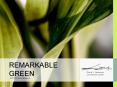 REMARKABLE GREEN PowerPoint PPT Presentation