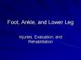 Foot, Ankle, and Lower Leg PowerPoint PPT Presentation