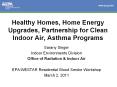 Healthy Homes, Home Energy Upgrades, Partnership for Clean Indoor Air, Asthma Programs PowerPoint PPT Presentation