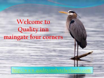 quality inn maingate four corners