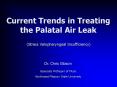 Current Trends in Treating the Palatal Air Leak PowerPoint PPT Presentation