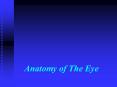 Anatomy of The Eye PowerPoint PPT Presentation