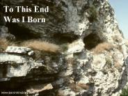 To This End Was I Born