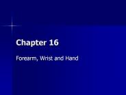 Forearm, Wrist and Hand