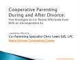 Cooperative Parenting Workshop PowerPoint PPT Presentation