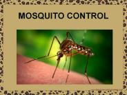 MOSQUITO CONTROL