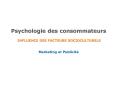 Psychologie des consommateurs  INFLUENCE DES FACTEURS SOCIOCULTURELS PowerPoint PPT Presentation
