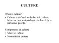 CULTURE PowerPoint PPT Presentation