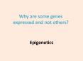 Epigenetics PowerPoint PPT Presentation