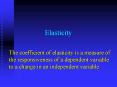 Elasticity PowerPoint PPT Presentation