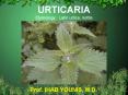 URTICARIA Etymology: Latin urtica, nettle PowerPoint PPT Presentation
