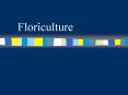 Floriculture PowerPoint PPT Presentation