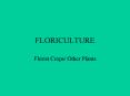 FLORICULTURE PowerPoint PPT Presentation