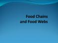 Food Chains and Food Webs PowerPoint PPT Presentation