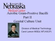 Aerobic Gram-Positive Bacilli Part II Genital Culture Unit