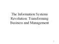 The Information Systems Revolution: Transforming Business and Management PowerPoint PPT Presentation