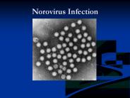 Norovirus Infection