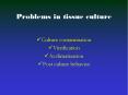 Problems in tissue culture PowerPoint PPT Presentation
