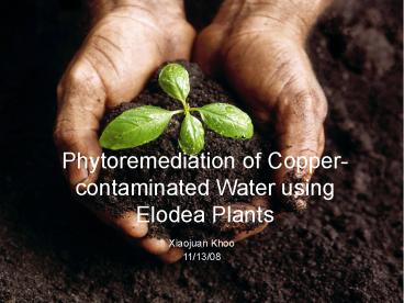 Phytoremediation of Copper-contaminated Water using Elodea Plants