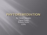 Phytoremediation