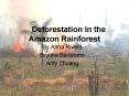 Deforestation In the Amazon Rainforest PowerPoint PPT Presentation