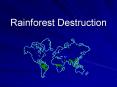 Rainforest Destruction PowerPoint PPT Presentation
