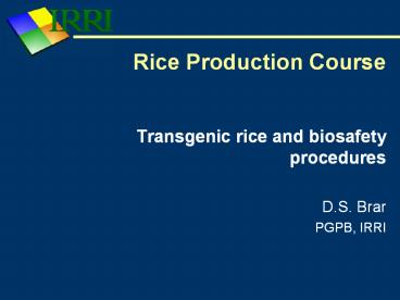 Transgenic rice and biosafety procedures