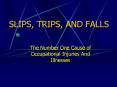 SLIPS, TRIPS, AND FALLS PowerPoint PPT Presentation