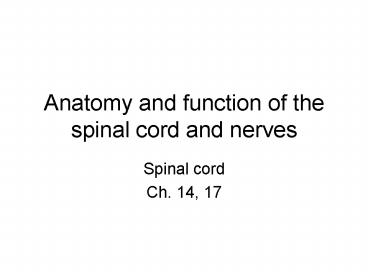 Anatomy and function of the spinal cord and nerves