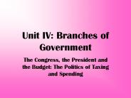 Unit IV: Branches of Government