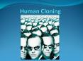 Human Cloning PowerPoint PPT Presentation