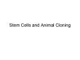 Stem Cells and Animal Cloning PowerPoint PPT Presentation