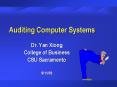 Auditing Computer Systems PowerPoint PPT Presentation