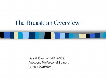 The Breast: an Overview