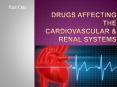 Drugs Affecting the Cardiovascular PowerPoint PPT Presentation
