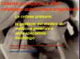 CEFALEA  A GRAPPOLO PowerPoint PPT Presentation
