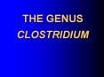 THE GENUS CLOSTRIDIUM PowerPoint PPT Presentation