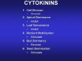 CYTOKININS PowerPoint PPT Presentation