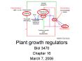 Plant growth regulators PowerPoint PPT Presentation
