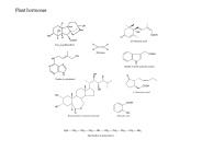 Plant hormones
