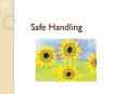 Safe Handling PowerPoint PPT Presentation