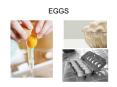 EGGS PowerPoint PPT Presentation