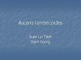 Ascaris lumbricoides PowerPoint PPT Presentation