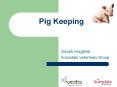 Pig Keeping PowerPoint PPT Presentation